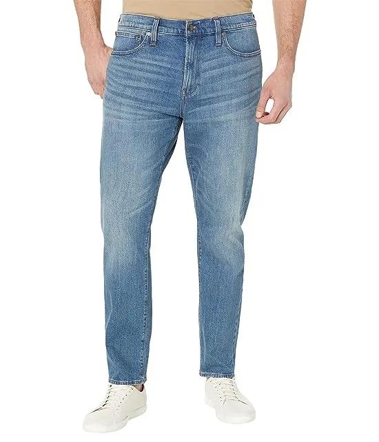 Athletic Slim in Dawning