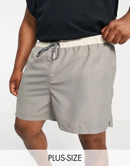 Big & Tall swim shorts in gray