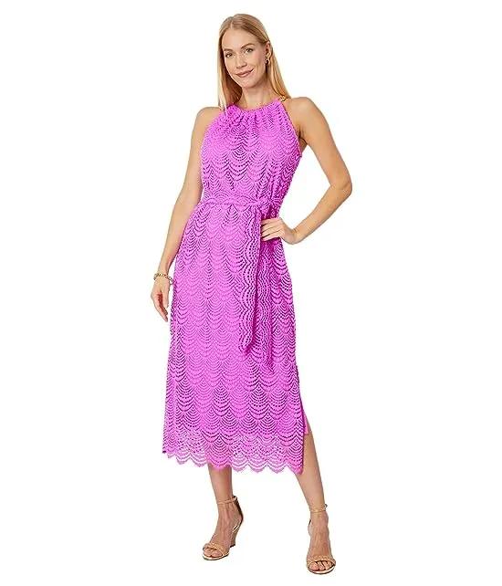 Bingham Lace Midi Dress
