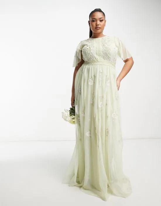 Curve Bridesmaid pearl embellished flutter sleeve maxi dress with floral embroidery in sage