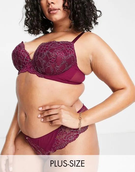 Curve Sexy Lace Planet nylon blend lace plunge bra in burgundy - BURGUNDY