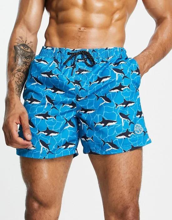 Intelligence swim shorts with whale print