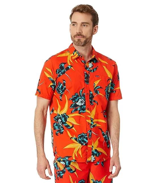 Island Time Short Sleeve Woven