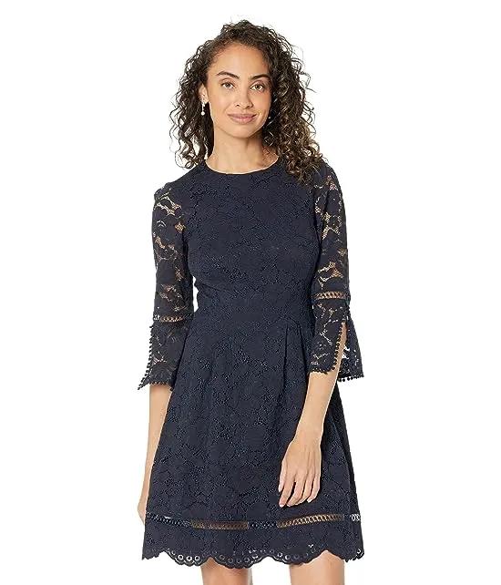 Lace Pinch Pleat Fit-and-Flare Dress