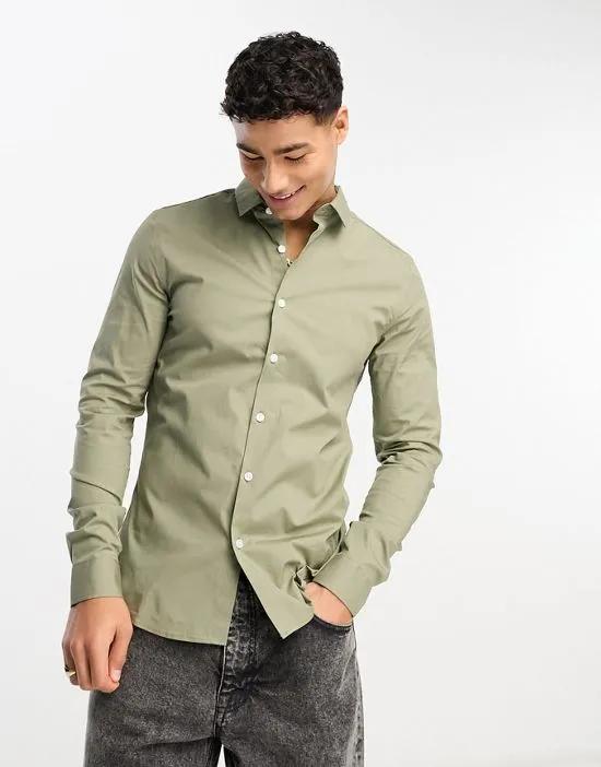 muscle fit poplin shirt in light olive