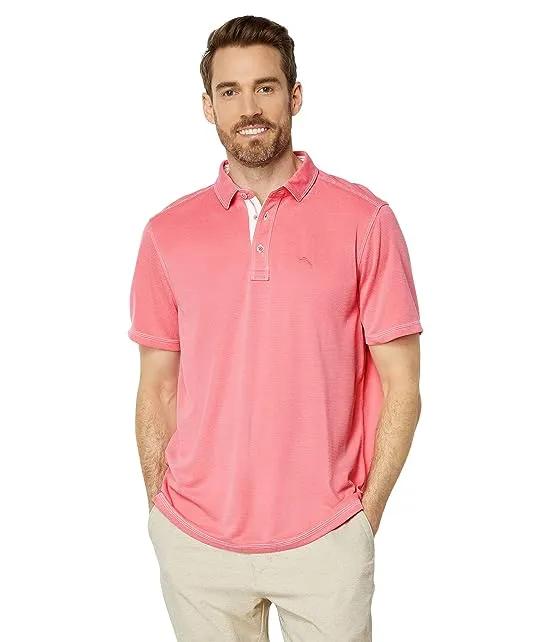 Paradiso Cove Polo