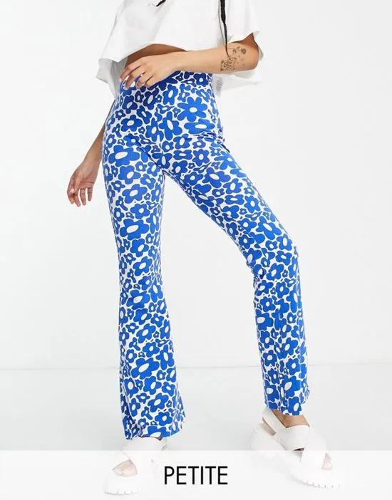 Petite exclusive flared pants in blue & white floral