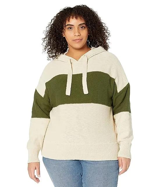 Plus Clairview Hoodie Sweater in Colorblock