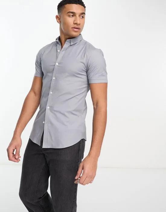 short sleeve muscle fit oxford shirt in light gray