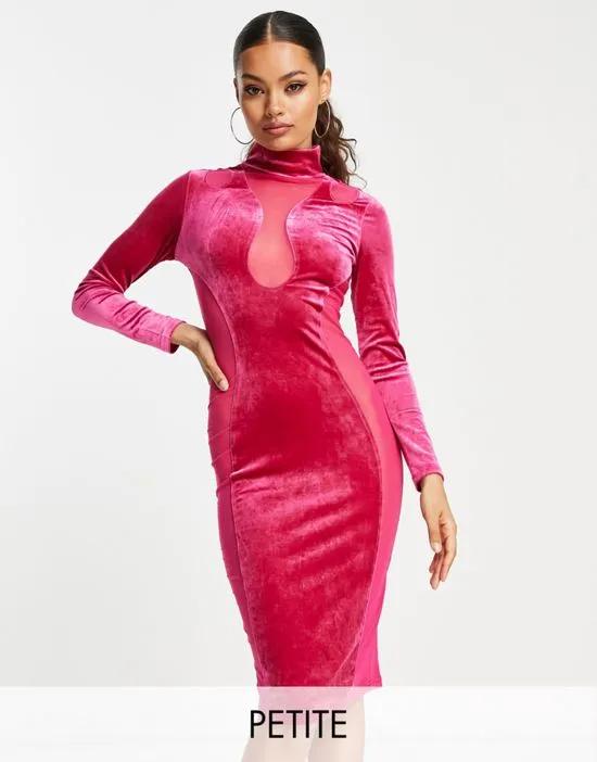 Simmi Petite velvet and mesh paneled midi body-conscious dress in pink