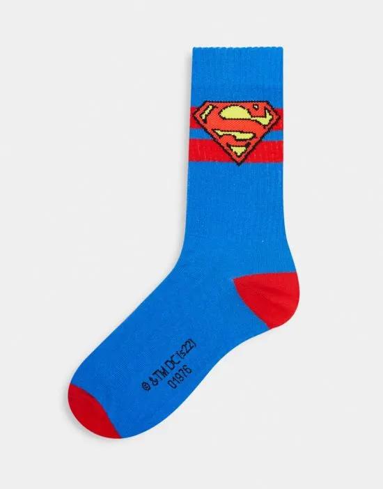 Superman sports socks in blue