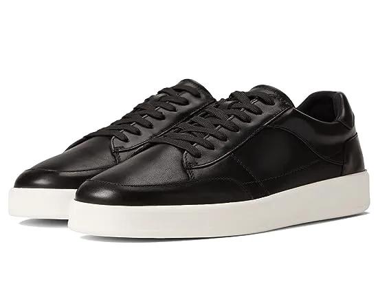 Teo Leather Sneakers