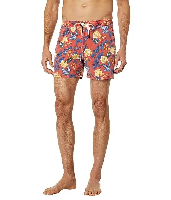The Bungalow Shorts