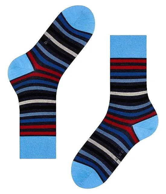 Tinted Stripe Socks