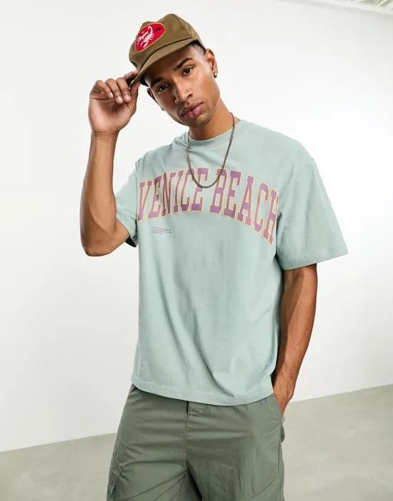 Venice beach t-shirt in blue