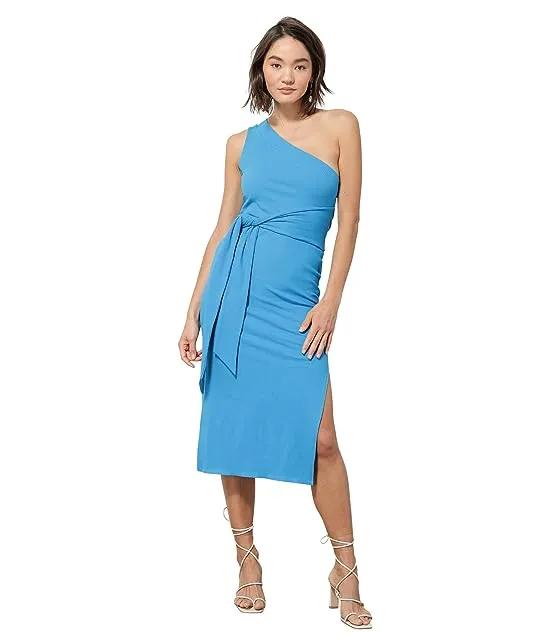 Willow One Shoulder Dress