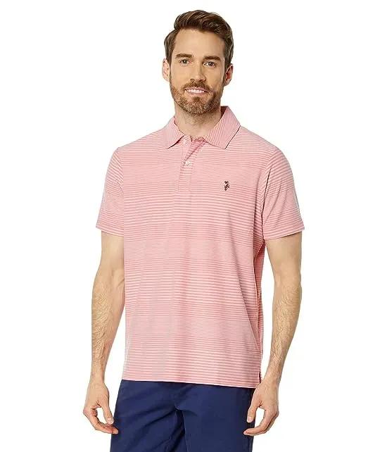 Yarn-Dye Poly Interlock Polo