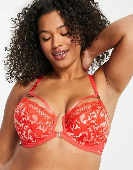 Amore lace and fishnet front fastening padded plunge bra in tomato
