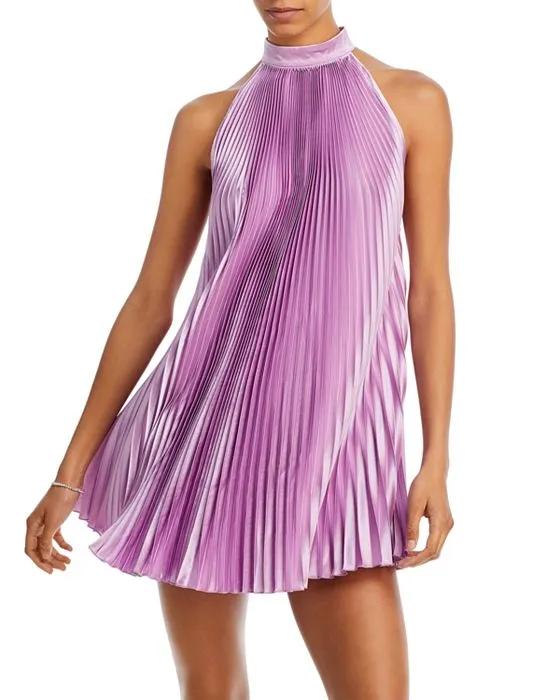 Amour Sleeveless Pleated Mini Dress