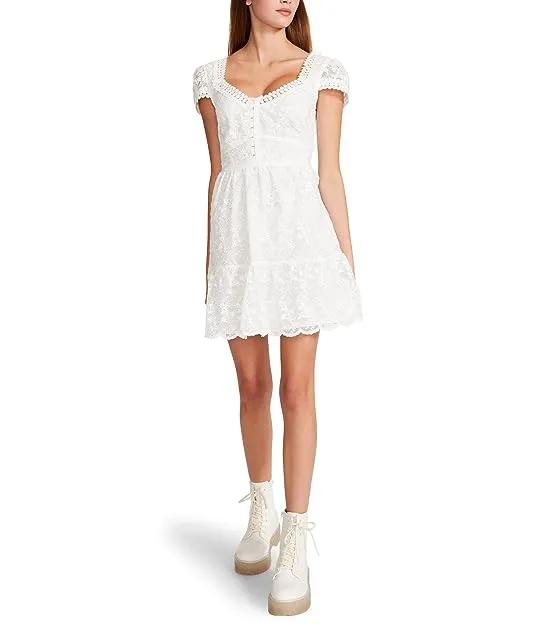 Betsey Johnson Embroidered Bow Mesh Hook Front Dress