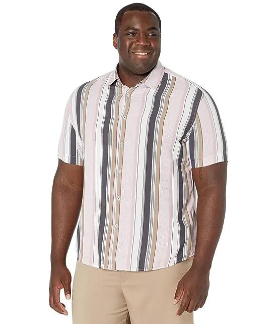 Big & Tall Bryant Stripe Shirt