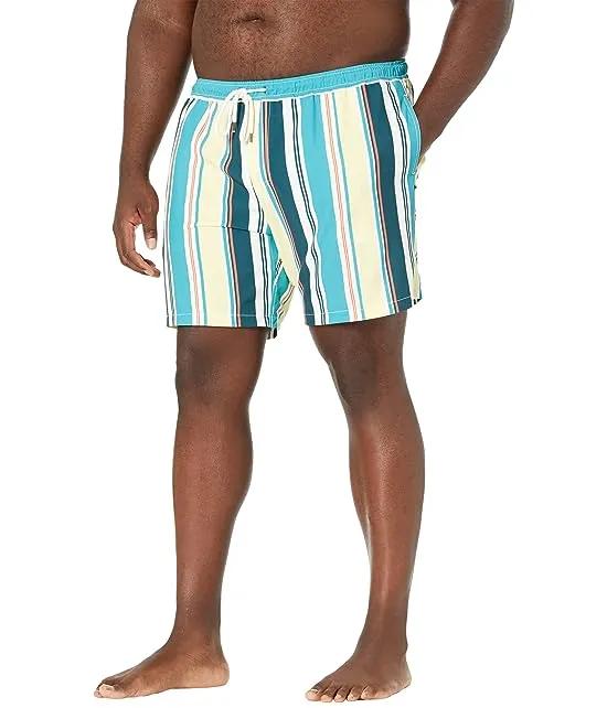 Big & Tall Cabana Stripe Stretch Swim Shorts