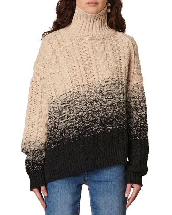 Brunetta Wool Turtleneck Sweater