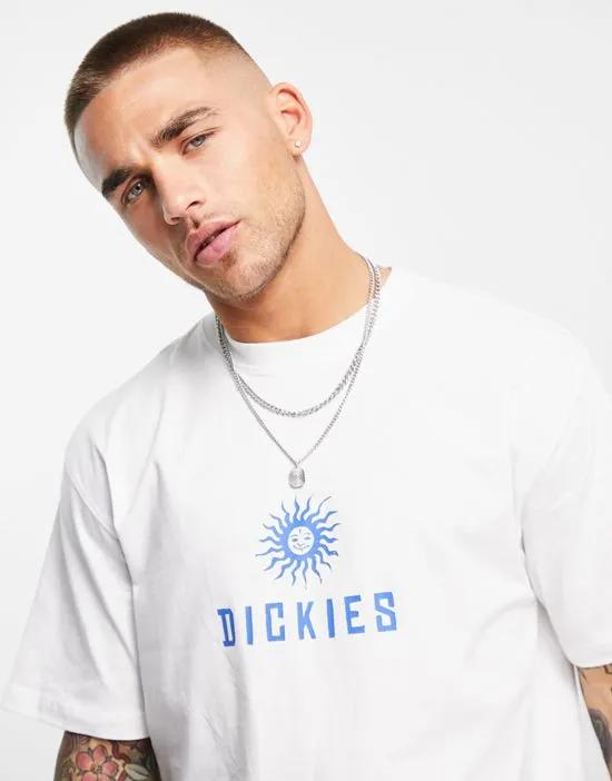 Central Logo t-shirt in white Exclusive at ASOS