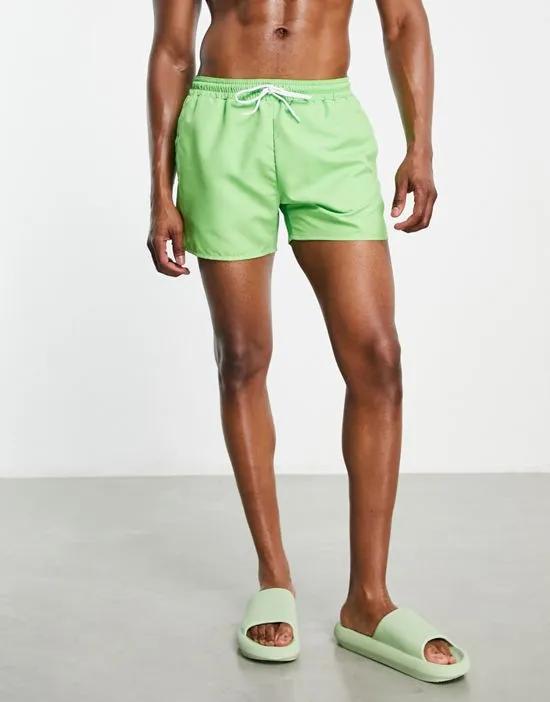 classic swim shorts in lime