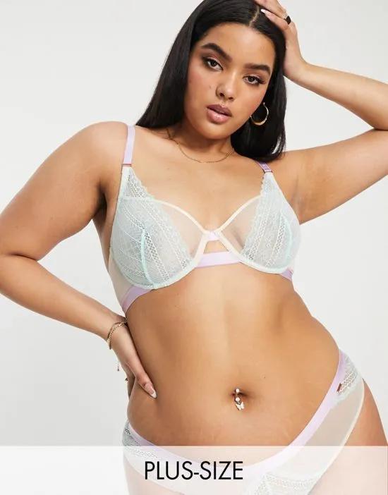 Curve Ilaria lace and mesh non padded balconette bra in pastel color block