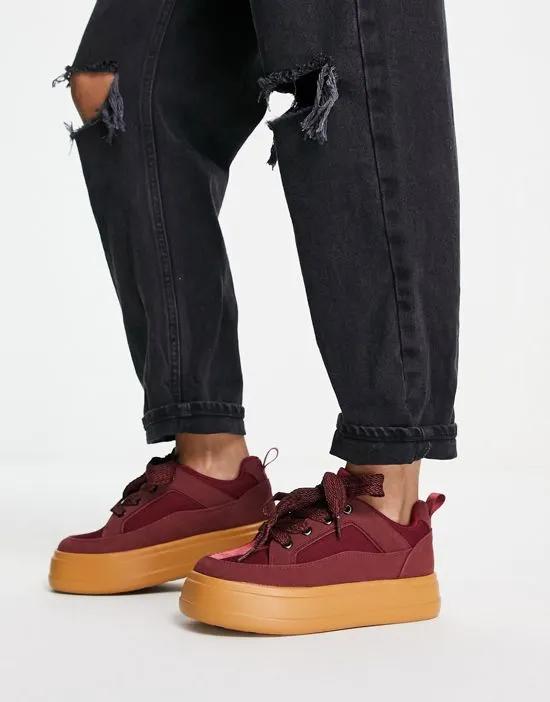 Dakota skater sneakers with oversized laces in burgundy