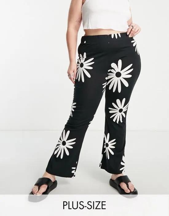 flared pants in black daisy print