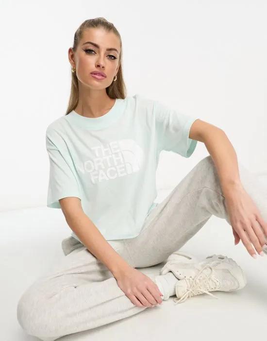 Half Dome cropped chest print T-shirt in baby blue
