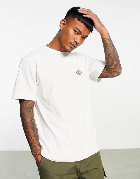 Icon washed T-shirt in cream