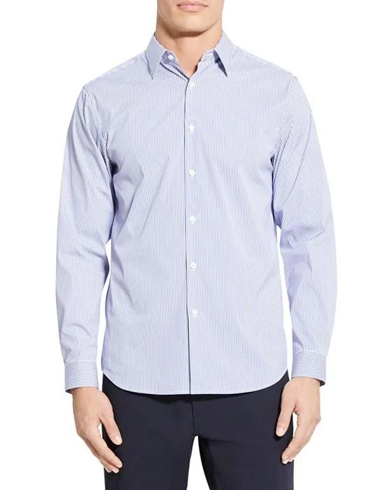 Irving Allen Cotton Blend Stripe Tailored Fit Button Down Shirt 