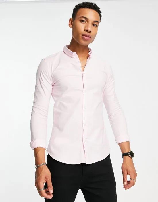 long sleeve muscle fit oxford shirt in pink