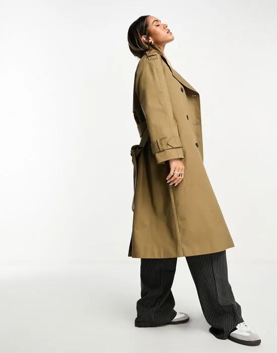 longline trench in olive