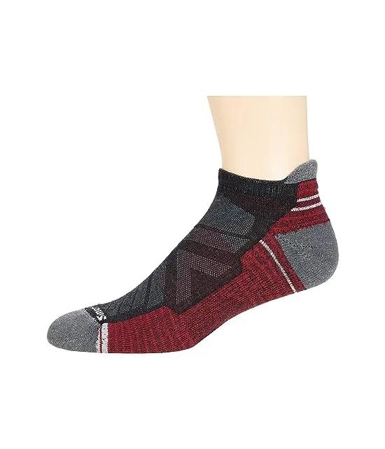 Performance Hike Light Cushion Low Ankle