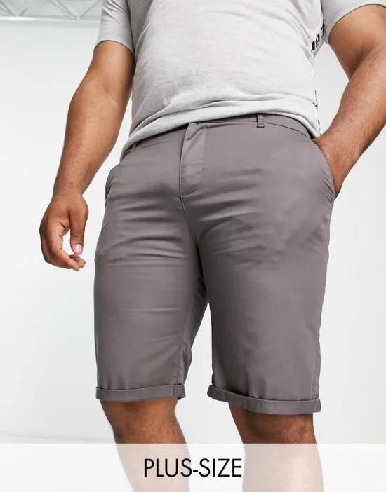 Plus chino shorts in charcoal