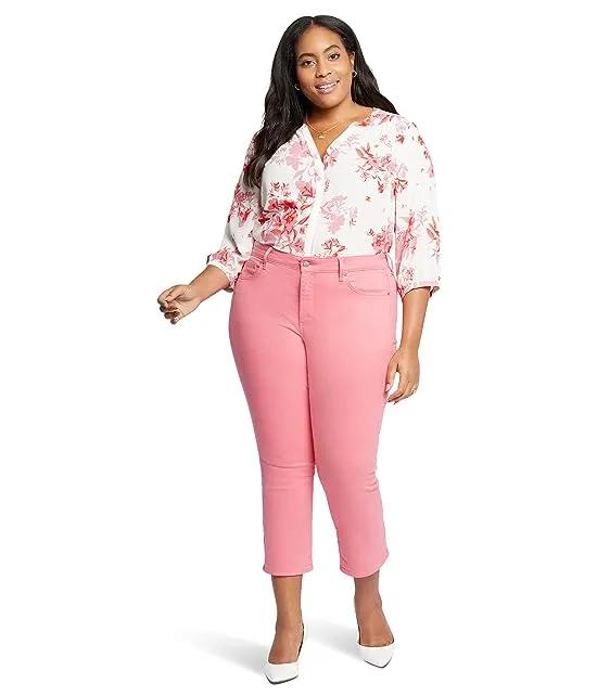 Plus Size Marilyn Straight Ankle in Pink Punch