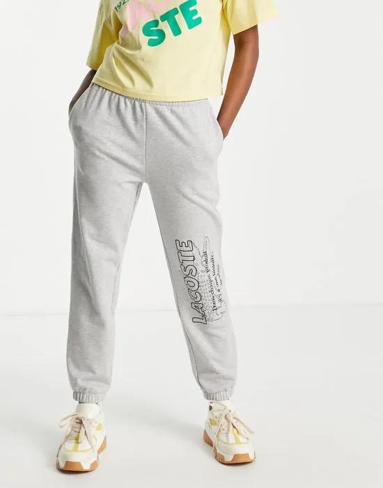 printed logo sweatpants in gray