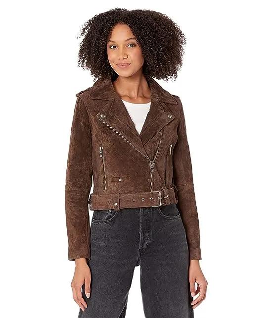 Real Suede Moto Jacket in Chocolate Souffle