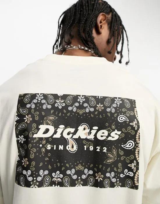 reworked paisley box back print t-shirt in off white exclusive to ASOS