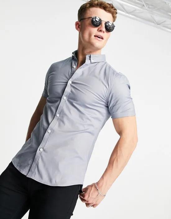 smart short sleeve muscle fit oxford shirt in gray
