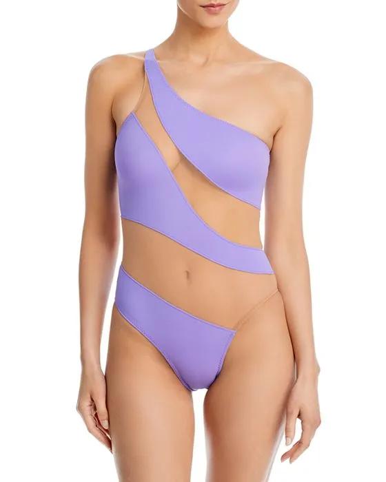 Snake Mesh Stripe One Piece Swimsuit