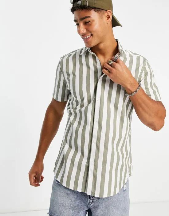 stripe shirt in sage