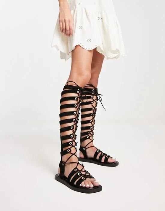 sun chaser tall gladiator sandals in black