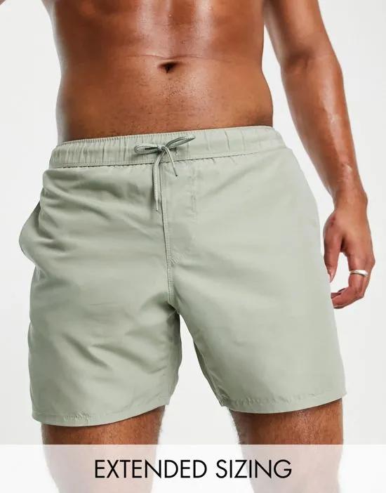 swim shorts in mid length in light green