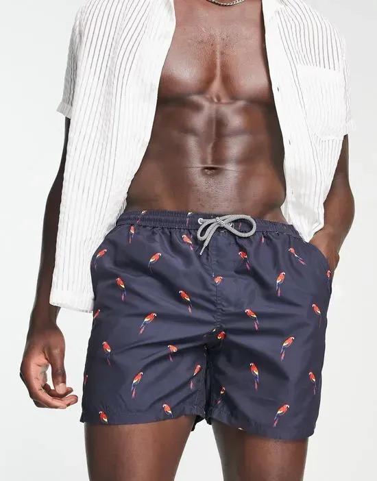 swim shorts in navy with parrot print
