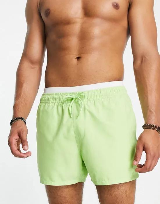swim shorts in short length with double waistband in lime green